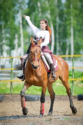 Обучение верховой езде в Ростове-на-Дону. Сервис Ultra Подарки. Купить обучение верховой езде в Ростове-на-Дону. Вы сможете попробовать курс по верховой езде и конные прогулки. Сервис UltraPodarki.ru 8 800 505 95 30. Обучение верховой езде, верховая езда в Ростове-на-Дону, верховая езда Ростов-на-Дону, конный спорт, уроки верховой езды, школа верховой езды, конные прогулки, верховая езда, школа верховой езды в Ростове-на-Дону, конные прогулки в Ростове-на-Дону, обучение верховой езде в Ростове-на-Дону, конный спорт в Ростове-на-Дону, уроки верховой езды в Ростове-на-Дону