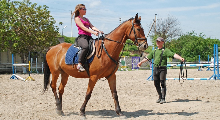 Обучение верховой езде в Ростове-на-Дону. Сервис Ultra Подарки. Купить обучение верховой езде в Ростове-на-Дону. Вы сможете попробовать курс по верховой езде и конные прогулки. Сервис UltraPodarki.ru 8 800 505 95 30. Обучение верховой езде, верховая езда в Ростове-на-Дону, верховая езда Ростов-на-Дону, конный спорт, уроки верховой езды, школа верховой езды, конные прогулки, верховая езда, школа верховой езды в Ростове-на-Дону, конные прогулки в Ростове-на-Дону, обучение верховой езде в Ростове-на-Дону, конный спорт в Ростове-на-Дону, уроки верховой езды в Ростове-на-Дону