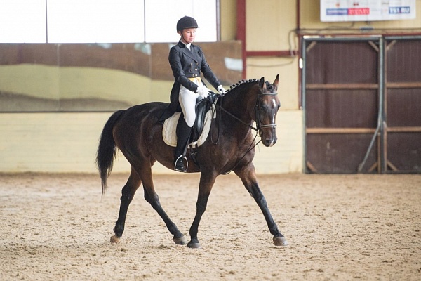 Обучение верховой езде в Ростове-на-Дону. Сервис Ultra Подарки. Купить обучение верховой езде в Ростове-на-Дону. Вы сможете попробовать курс по верховой езде и конные прогулки. Сервис UltraPodarki.ru 8 800 505 95 30. Обучение верховой езде, верховая езда в Ростове-на-Дону, верховая езда Ростов-на-Дону, конный спорт, уроки верховой езды, школа верховой езды, конные прогулки, верховая езда, школа верховой езды в Ростове-на-Дону, конные прогулки в Ростове-на-Дону, обучение верховой езде в Ростове-на-Дону, конный спорт в Ростове-на-Дону, уроки верховой езды в Ростове-на-Дону