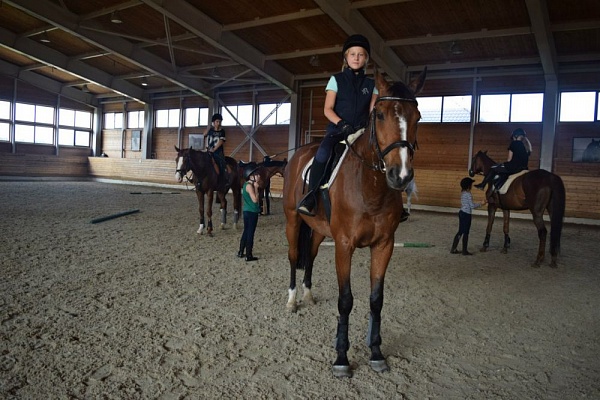 Обучение верховой езде в Ростове-на-Дону. Сервис Ultra Подарки. Купить обучение верховой езде в Ростове-на-Дону. Вы сможете попробовать курс по верховой езде и конные прогулки. Сервис UltraPodarki.ru 8 800 505 95 30. Обучение верховой езде, верховая езда в Ростове-на-Дону, верховая езда Ростов-на-Дону, конный спорт, уроки верховой езды, школа верховой езды, конные прогулки, верховая езда, школа верховой езды в Ростове-на-Дону, конные прогулки в Ростове-на-Дону, обучение верховой езде в Ростове-на-Дону, конный спорт в Ростове-на-Дону, уроки верховой езды в Ростове-на-Дону