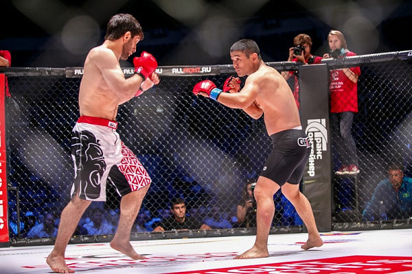 Смешанные единоборства в Ростове-на-Дону. Сервис Ultra Подарки. Купить подарочный сертификат на смешанные единоборства в Ростове-на-Дону. Опытные инструкторы обучат вас ММА. Сервис UltraPodarki.ru 8 800 505 95 30. Смешанные единоборства, бои без правил, ММА, смешанные единоборства в Ростове-на-Дону, UFC, смешанные боевые искусства, бои без правил Ростов-на-Дону, UFC Ростов-на-Дону, смешанные боевые искусства Ростов-на-Дону, ММА Ростов-на-Дону, занятия ММА Ростов-на-Дону
