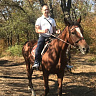 Конная прогулка  в Ростове-на-Дону. Подарочные сертификаты Ultra Подарки. Купить оригинальный подарок или подарочный сертификат на Конная прогулка  в Ростове-на-Дону. Сервис UltraPodarki.ru 8-800-505-9530. Катание на лошадях, Прогулка на лошади, Прогулка на лошадях для двоих, Конная прогулка , конный клуб, конный клуб Horse Travel, конная прогулка, конная прогулка в Ростове-на-Дону