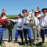Конная прогулка  в Ростове-на-Дону. Подарочные сертификаты Ultra Подарки. Купить оригинальный подарок или подарочный сертификат на Конная прогулка  в Ростове-на-Дону. Сервис UltraPodarki.ru 8-800-505-9530. Катание на лошадях, Прогулка на лошади, Прогулка на лошадях для двоих, Конная прогулка , конный клуб, конный клуб Horse Travel, конная прогулка, конная прогулка в Ростове-на-Дону